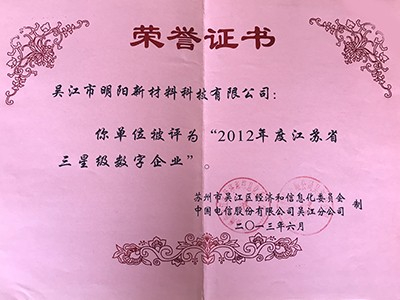 2012年度江蘇省三星級數(shù)字企業(yè)